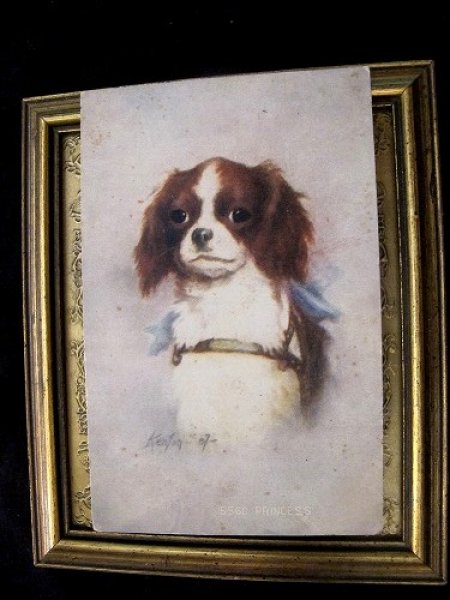 画像2: Postcard スパニエル犬 Princess (2)