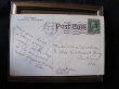 画像2: Postcard　スズランのお花 1911年　 (2)
