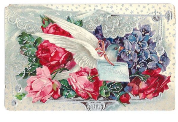 画像1: Postcard　白鳩と薔薇のお花　1913年　 (1)