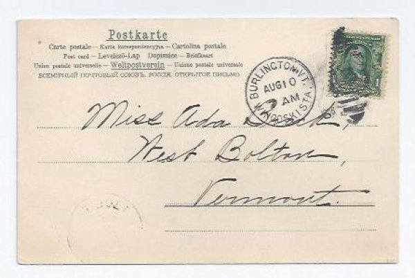 画像2: Postcard  猫車　H.Maguire　1906年 (2)