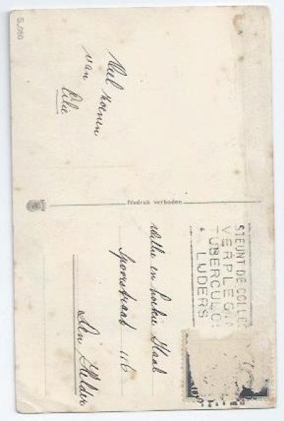 画像2: Postcard　いたずらな猫とリス　キノコ　  (2)