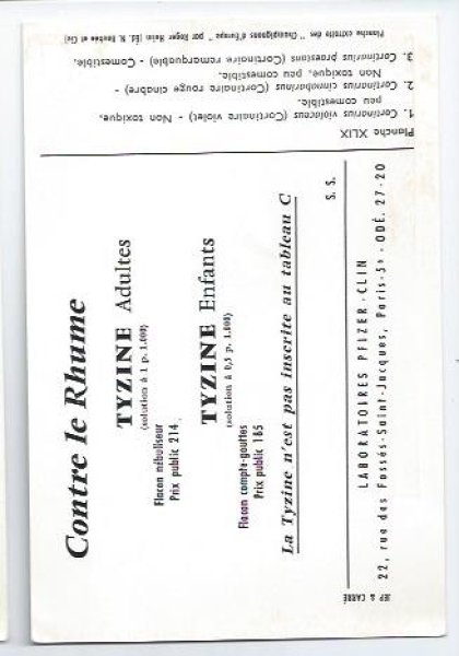 画像2: Vintage card　キノコ　 (2)