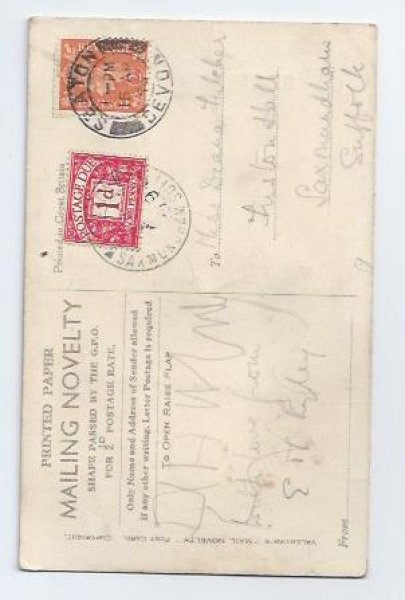 画像2: Postcard　犬と女の子　 Mable Lucie Attwell　 (2)