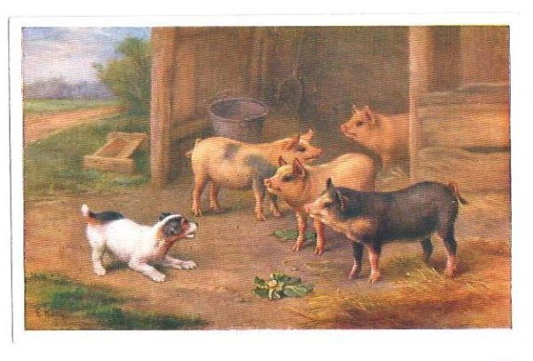 画像1: Postcard　豚さんとジャックラッセルテリア犬　1953年　 (1)