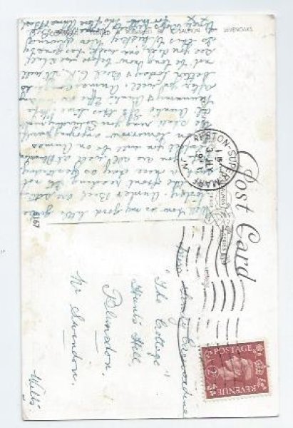 画像2: Postcard 豚さんとジャックラッセルテリア犬 1953年  (2)