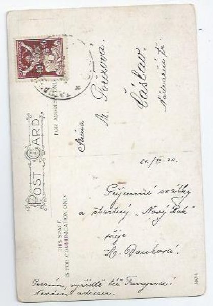 画像2: Postcard　New Year マフの女の子とグッドラックの子豚　1920年　  (2)