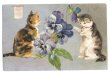 画像1: Postcard　パンジーのお花と猫　三毛とキジトラ　Helena Maguire　 (1)