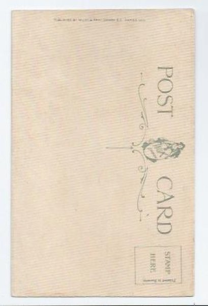 画像2: Postcard ピンク色のお花と猫 キジトラ 未使用 Helena Maguire  (2)