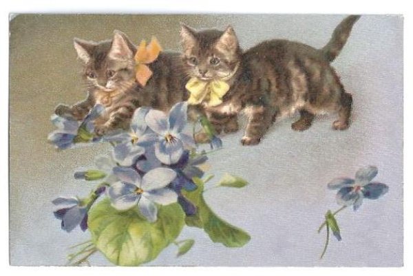 画像1: Postcard　スミレのお花と猫　キジトラ　未使用　Helena Maguire　 (1)