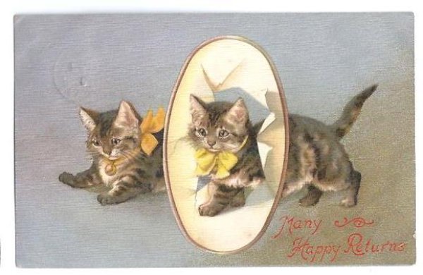 画像1: Postcard　輪くぐりをする猫　キジトラ　1908年　Helena Maguire　 (1)