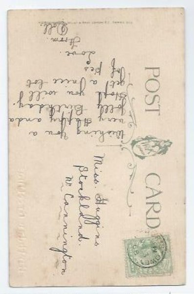 画像2: Postcard 輪くぐりをする猫と犬 1908年 Helena Maguire  (2)