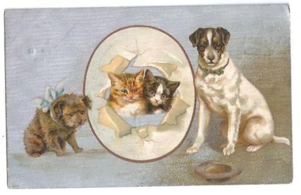 画像1: Postcard　輪くぐりをする猫　大道芸人バスキングの犬たち　1910年　Helena Maguire　 (1)