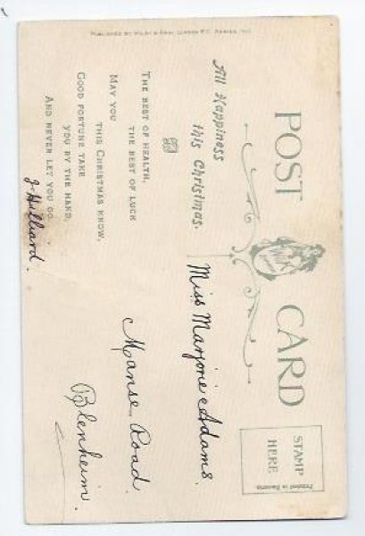 画像2: Postcard パンジーのお花と猫 三毛とキジトラ Helena Maguire  (2)