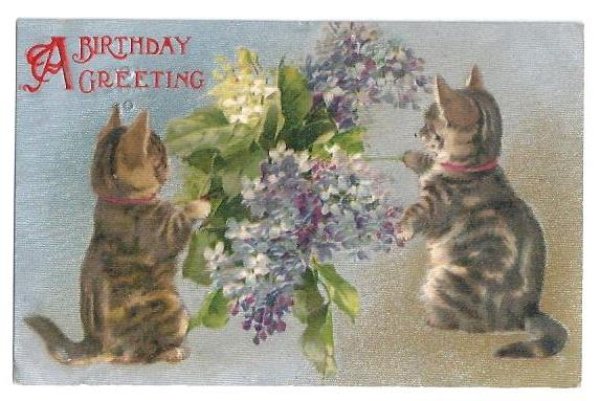 画像1: Postcard　ライラックのお花と猫　キジトラ　1907年　Helena Maguire　 (1)