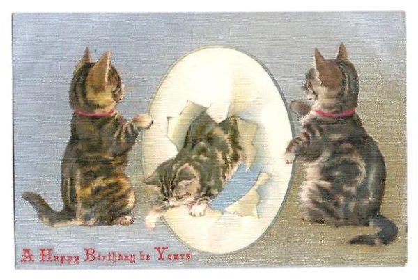 画像1: Postcard　輪くぐりをする猫　キジトラ　1907年　Helena Maguire　 (1)