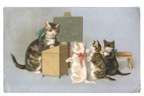 画像1: Postcard　子猫の学校　1906年　Helena Maguire　 (1)