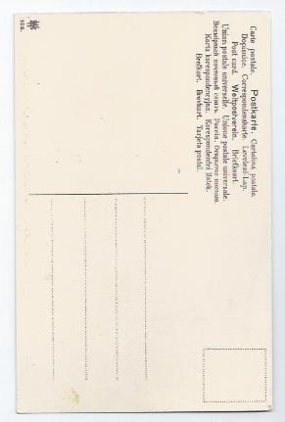 画像2: Postcard ベンチに座る猫たち 広告 Helena Maguire 未使用  (2)