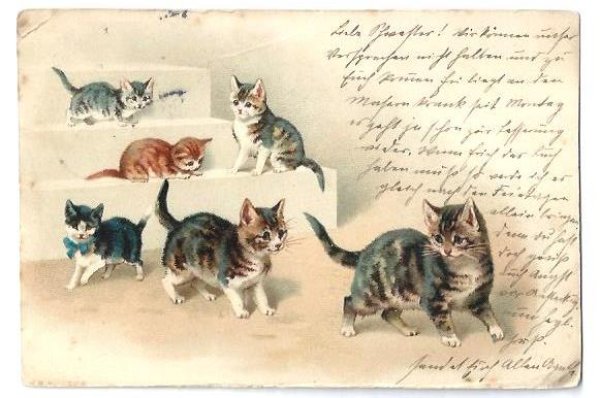 画像1: Postcard　6匹の猫たち　Helena Maguire　1904年　 (1)