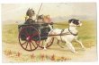 画像1: Postcard　犬車に乗る猫たち　1916年　Helena Maguire　 (1)