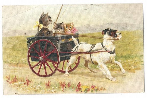 画像1: Postcard　犬車に乗る猫たち　1916年　Helena Maguire　 (1)