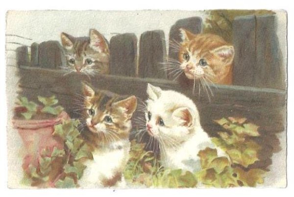 画像1: Postcard　4匹の子猫　1931年　Helena Maguire　 (1)