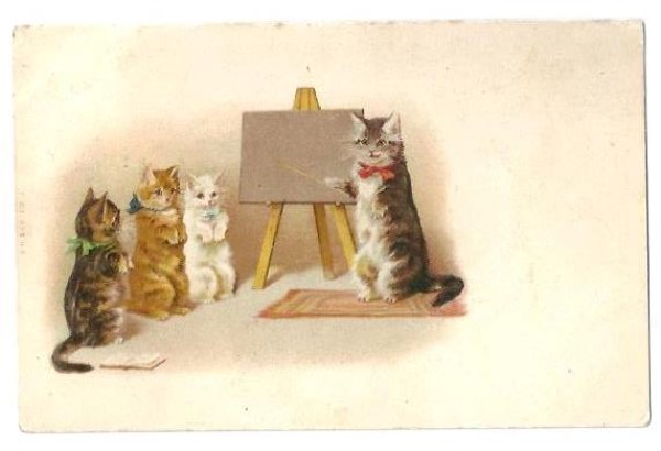 画像1: Postcard　子猫の学校　1907年　Helena Maguire　 (1)