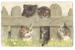 画像1: Postcard　4匹の子猫　1923年　Helena Maguire　 (1)