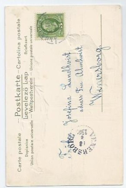 画像2: Postcard 壺を覗く猫と男の子 Helena Maguire  (2)