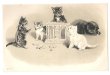 画像1: Postcard　積み木で遊ぶ猫たち　未使用　Helena Maguire　 (1)