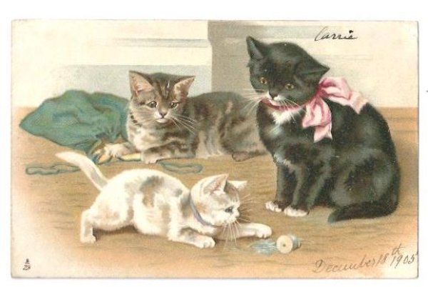 画像1: Postcard　糸で遊ぶ子猫　1905年　Helena Maguire　 (1)