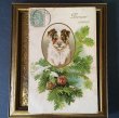 画像1: Postcard　テリア犬　1906年　Helena Maguire　 (1)