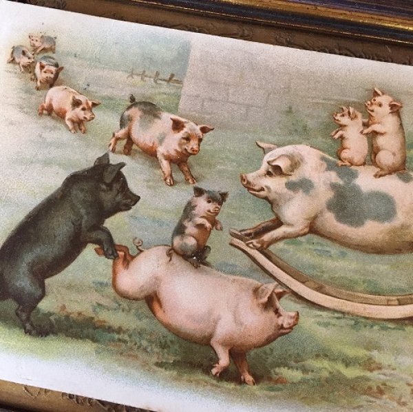 画像2: Postcard　広場で遊ぶ豚さんたち 1905年　Helena Maguire　 (2)