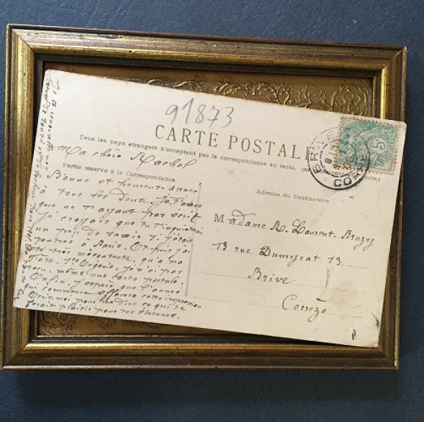 画像3: Postcard テリア犬 1906年 Helena Maguire  (3)