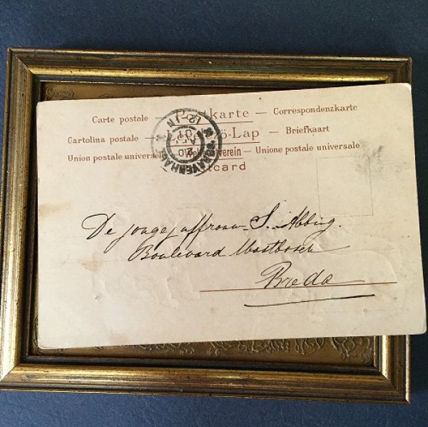 画像3: Postcard 4匹の子犬 1901年 Helena Maguire  (3)