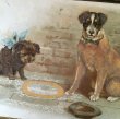画像2: Postcard　路上でバスキングをする犬たち　1902年　Helena Maguire　 (2)