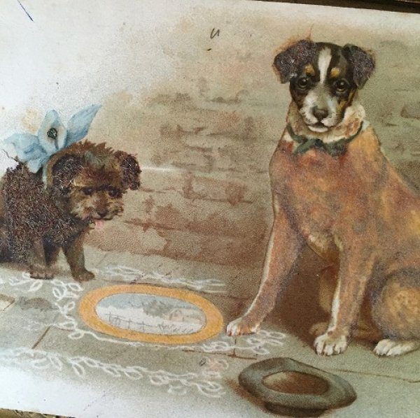 画像2: Postcard 路上でバスキングをする犬たち 1902年 Helena Maguire  (2)