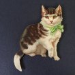 画像1: ダイカットクロモ　キジトラ白猫　Helena Maguire　 (1)
