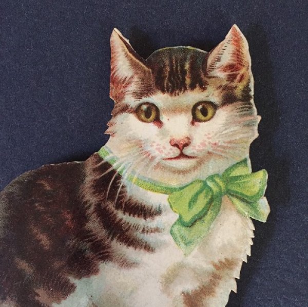 画像2: ダイカットクロモ キジトラ白猫 Helena Maguire  (2)