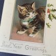 画像2: Vintage Greeting Card　New Year　ホーリーとキジトラの子猫　1900年頃　Helena Maguire (2)