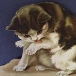 画像2: ダイカットクロモ　手を舐める猫　ハチワレ　黒白　Helena Maguire　 (2)
