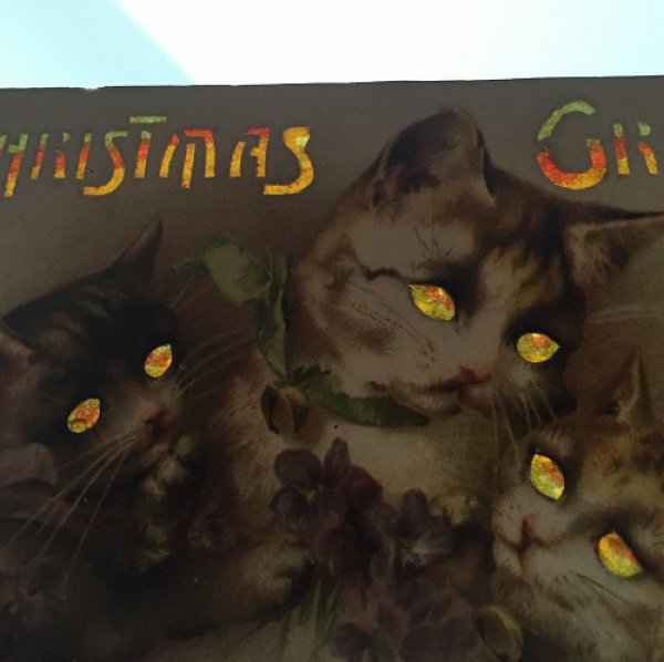 画像3: Postcard クリスマス 3匹の猫とスミレのお花 仕掛け 透かし  (3)