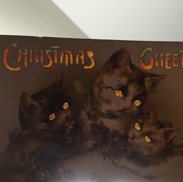 画像4: Postcard クリスマス 3匹の猫とスミレのお花 仕掛け 透かし  (4)