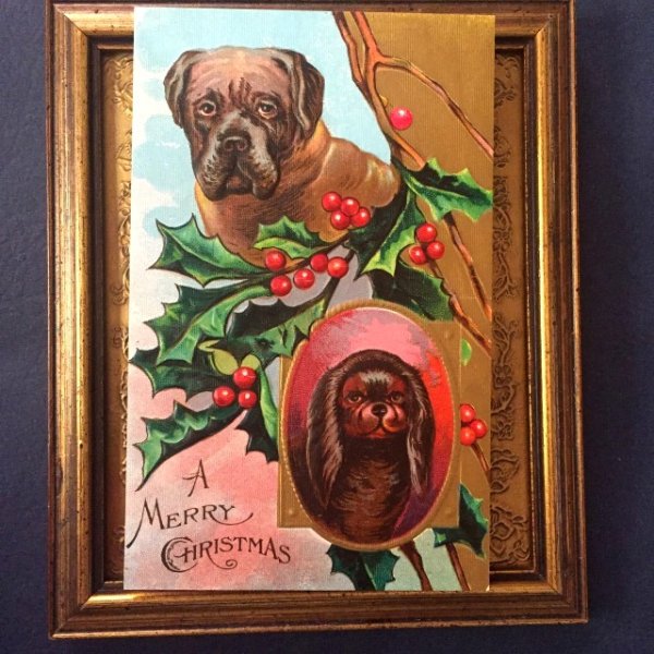 画像1: Postcard　クリスマス　スパニエル犬とボクサー犬（マスティフ？）　1909年　未使用　 (1)