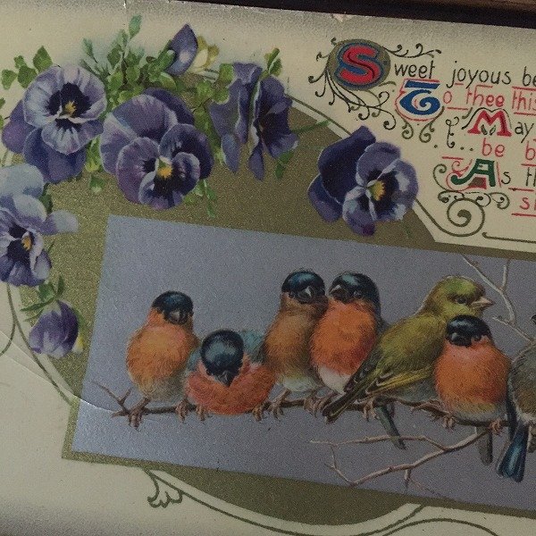 画像2: Postcard クリスマス 7羽のロビン 小鳥 1911年    (2)