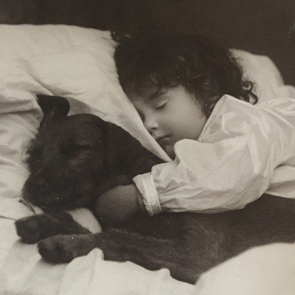 画像1: Postcard　愛犬と一緒に眠る女の子　未使用　イギリス製 (1)