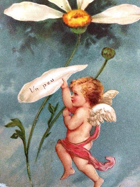 画像2: Postcard 天使のお花占い E.Clapsaddle ベルギー1903年  (2)