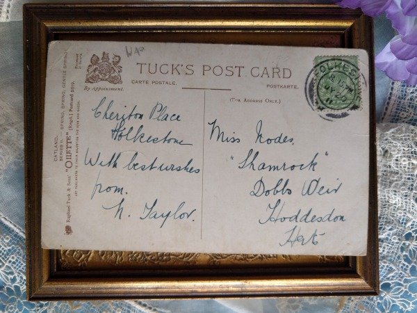 画像3: Postcard みんなでお洗濯をする猫たち 1911年 Arthur Thiele  (3)