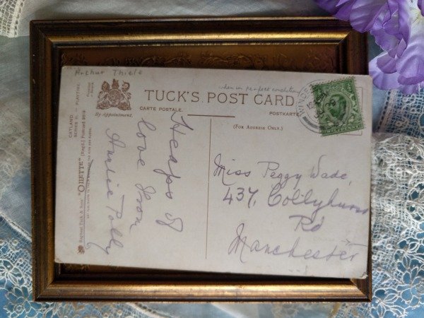 画像3: Postcard 公園で遊ぶ子猫たち 1911年 Arthur Thiele  (3)