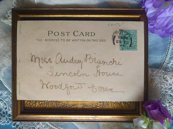 画像2: Postcard パイを食べる猫さん G.H. Thompson イギリス1902年  (2)