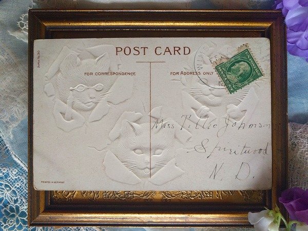 画像2: Postcard 3匹の猫 眼鏡   (2)